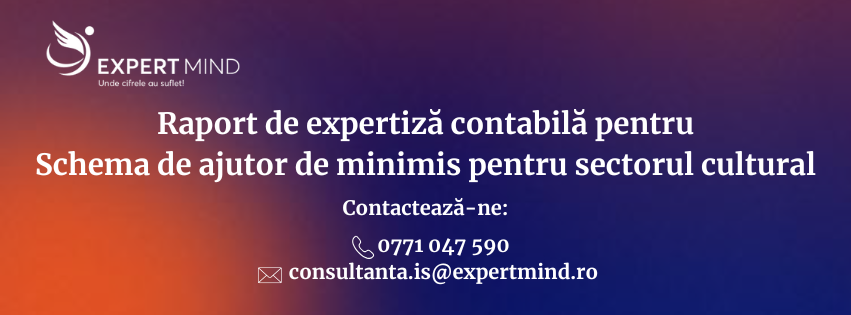 Raport de expertiză contabilă – Schema de ajutor de minimis pentru sectorul cultural